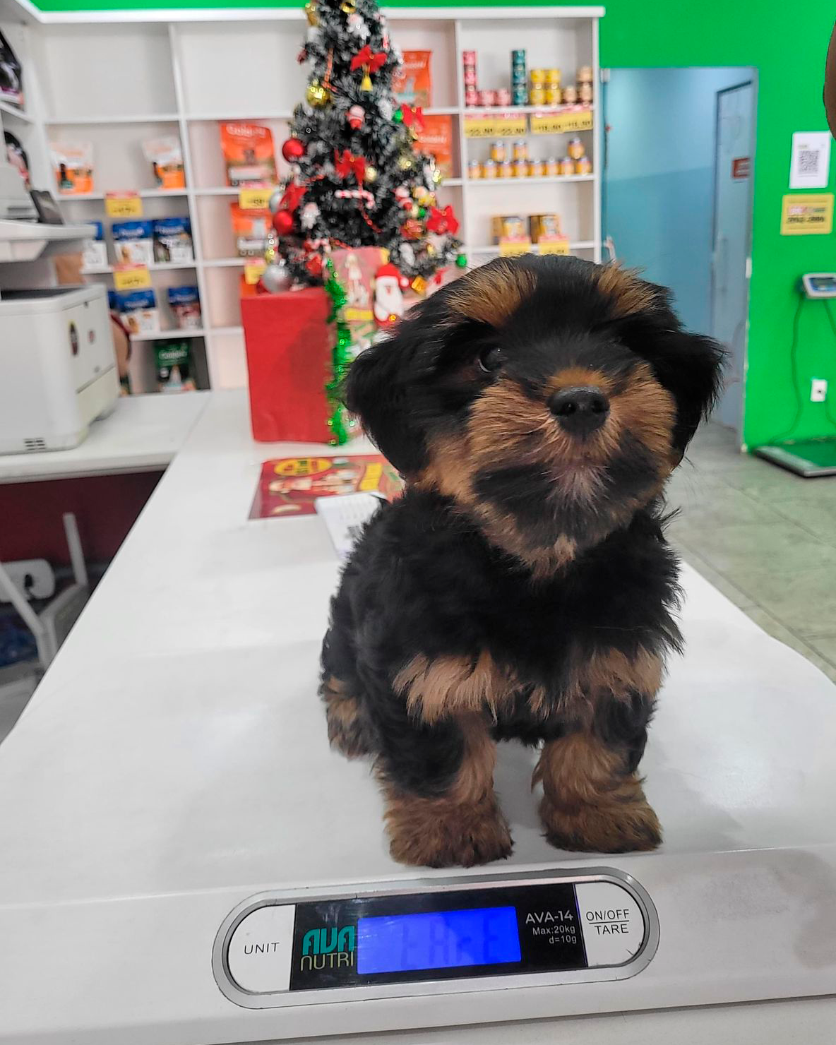 WhatsApp Image 2025-11-28 at 13.35.39 (1) - apaixonados penhacircular