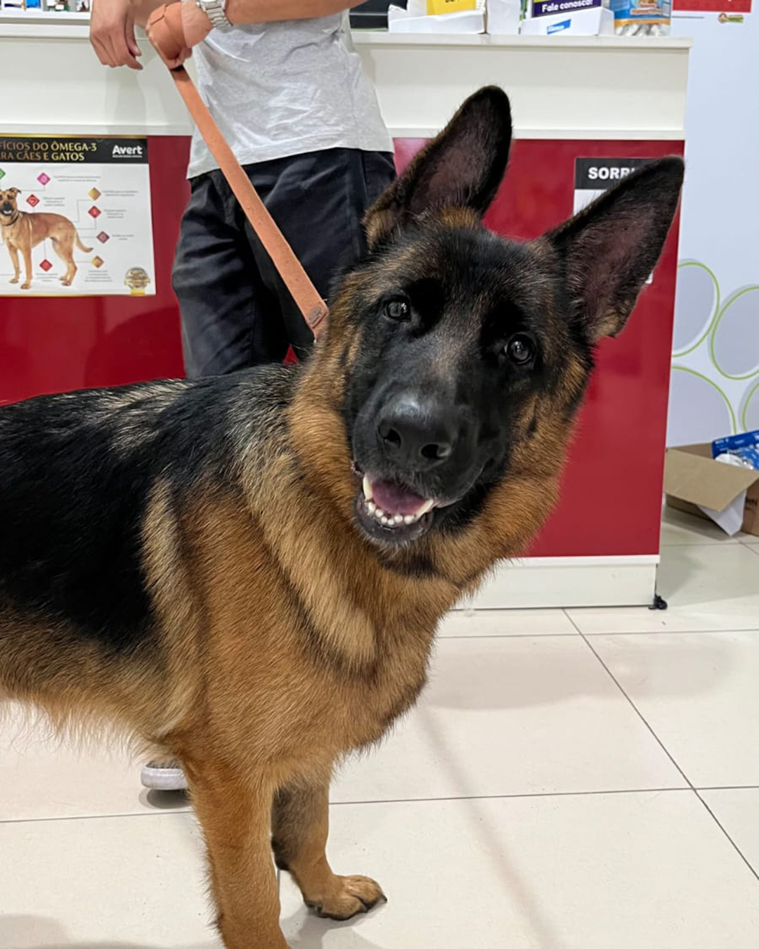 WhatsApp Image 2025-11-28 at 17.22.27 - Apaixonados bandeirantes CDD