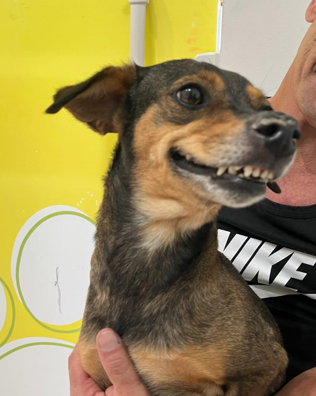 WhatsApp Image 2025-11-28 at 17.25.04 - Apaixonados bandeirantes CDD